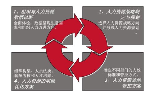 四步完成人效管理