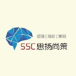 思扬尚策企业管理咨询招聘职位 拉勾网 专业的互联网招聘平台