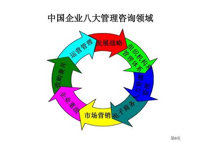 罗兰贝格 中国企业管理咨询提要PPT